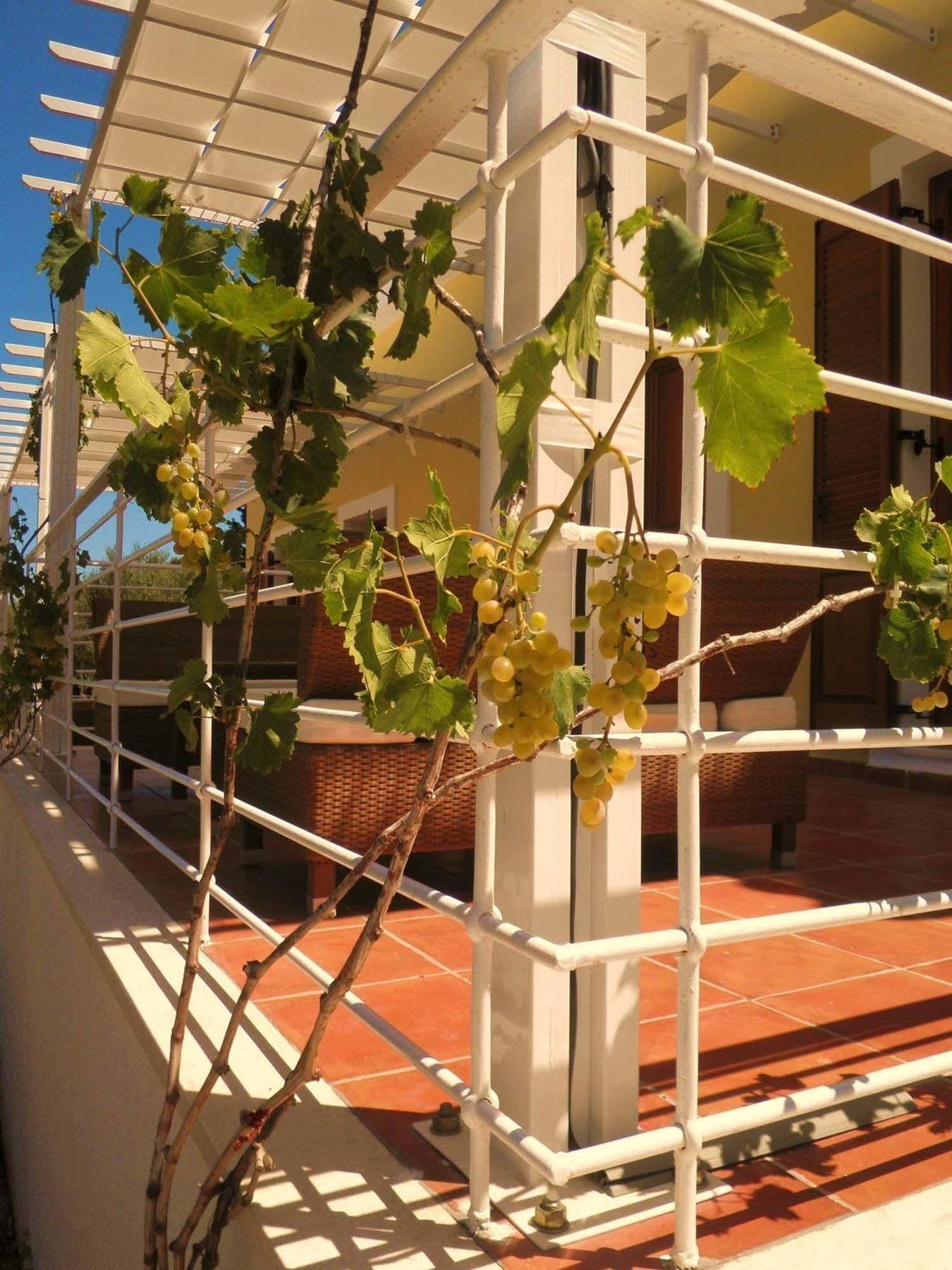 Tesoro Of Ithaca Apartment Stavros  Exterior photo